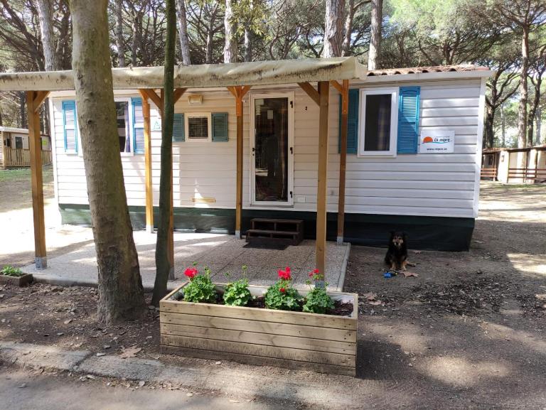 Mipro Mobilhome 5 - B&B Lido di Spina