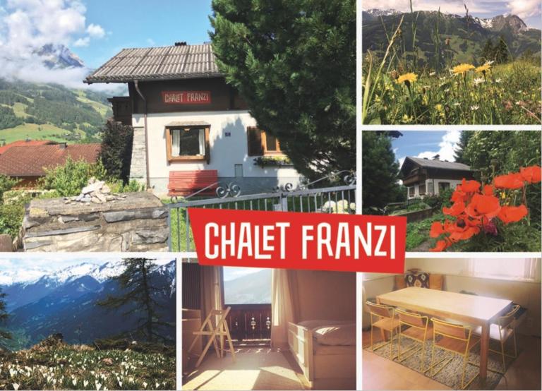 Chalet Franzi - Ruhiges Chalet mit Bergblick, Garten und gratis Eintritt ins Solarbad - B&B Dorfgastein