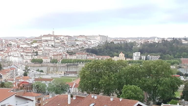 Coimbra's Gray & White - B&B Coimbra