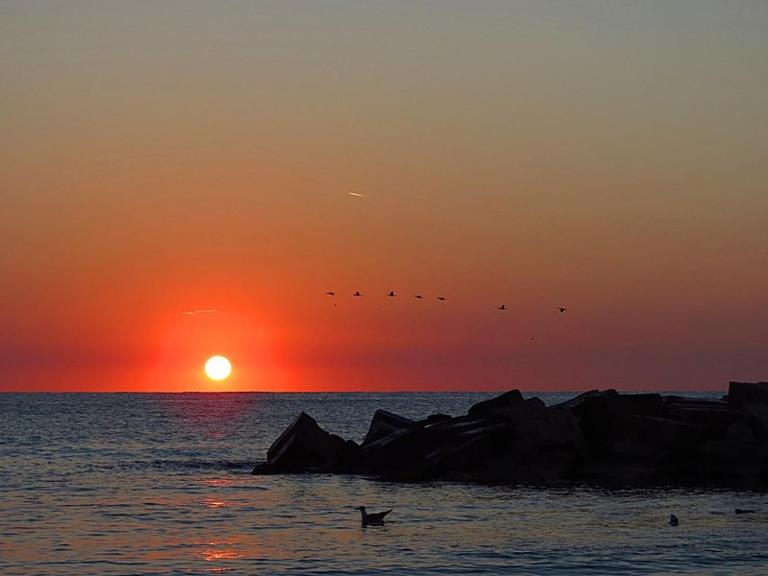 Sunrise Home Apartment - B&B Mangalia
