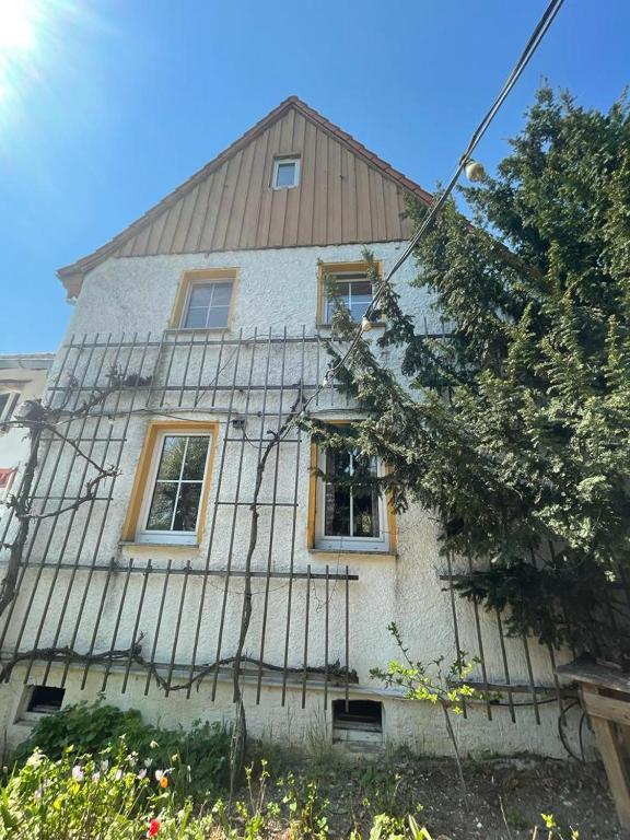 Ferienhaus Weißburgunder am Weinberg - B&B Naumburg