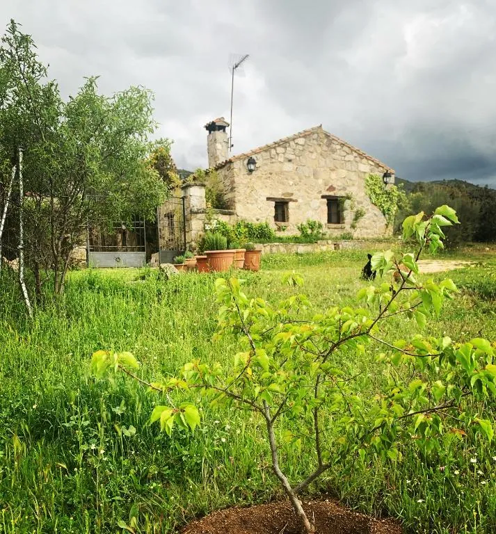 La casita del hortelano - Chambres d'hôtes Robledo de Chavela