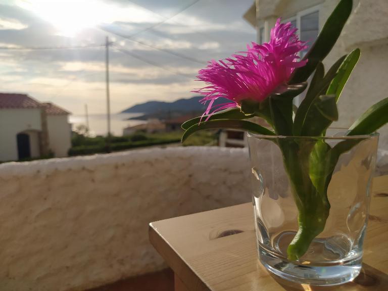 Apartament Port de la Selva - Ferienwohnung el Port de la Selva