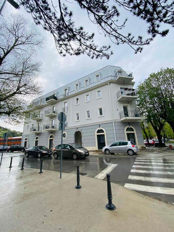 Apartment DORA - B&B Cetinje