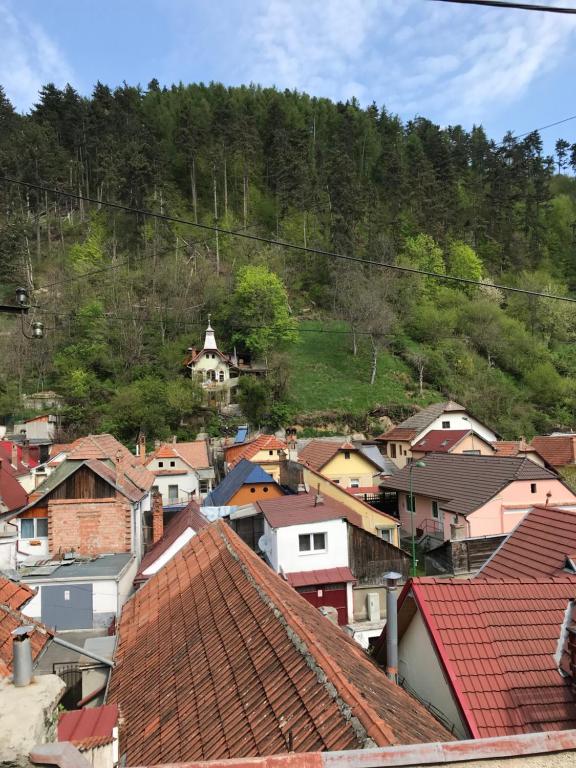 Casa Mountain view - B&B Braşov