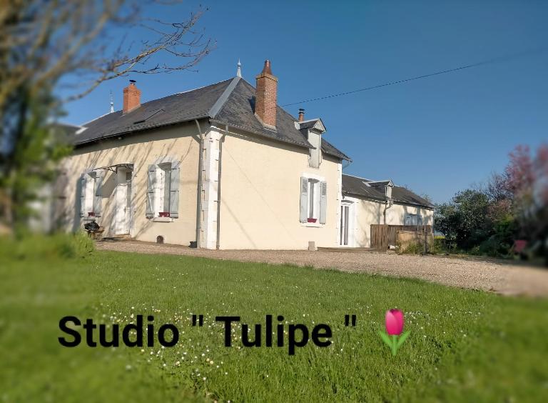 studio ''tulipe'' dans le Berry - Chambres d'hôtes Les Bordes