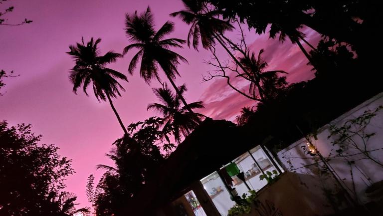 Wine Tree Garden Guesthouse - Bed and Breakfast Mirissa city