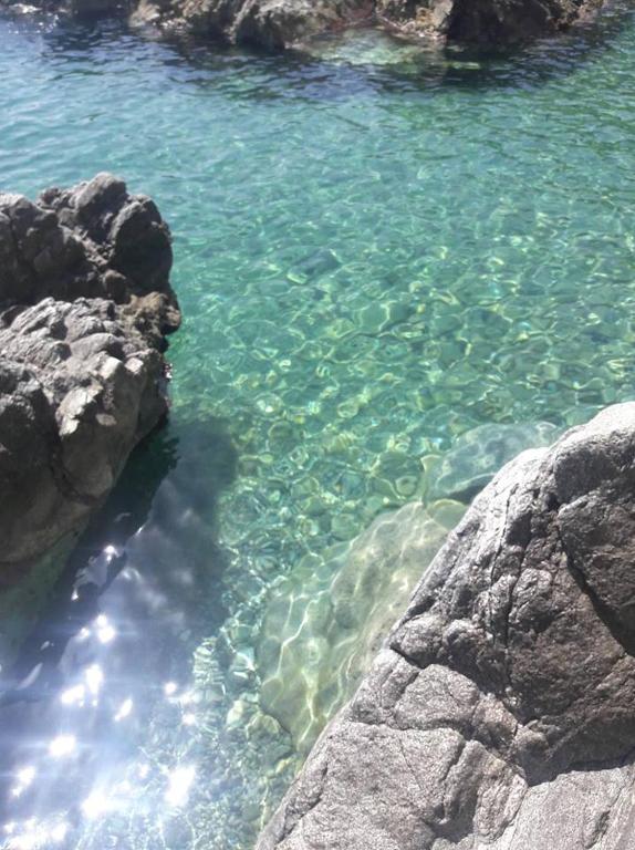 Casa Cobalto - Lascio tutto vivo a Copanello - Chambres d'hôtes Copanello