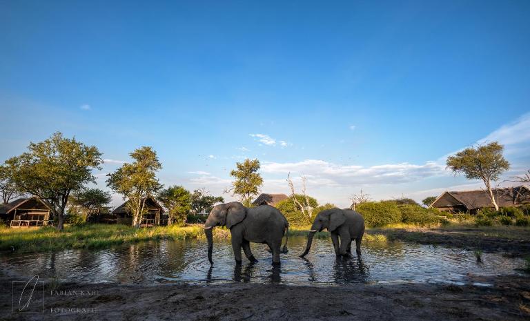 South Okavango - Omogolo Hideaways - B&B Rammu