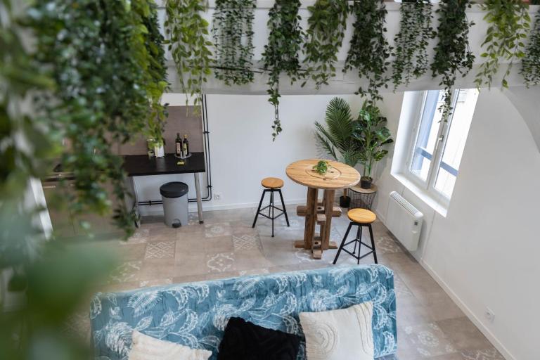 Doux Cocon Tropical au cœur du centre ville - B&B Troyes