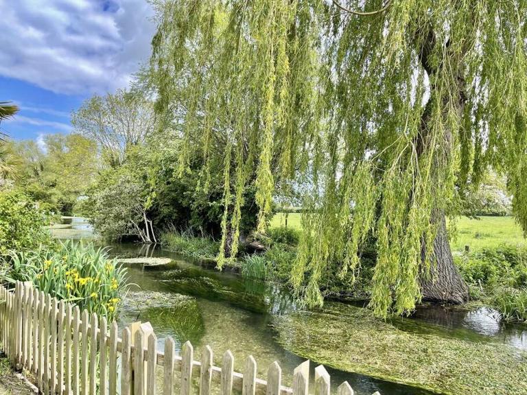 Willow Tree Lodge - Cosy lodge in the heart of the Kent countryside - Chambres d'hôtes Littlebourne