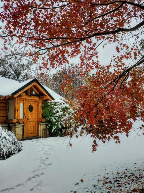 Blue Bird House - B&B Bariloche