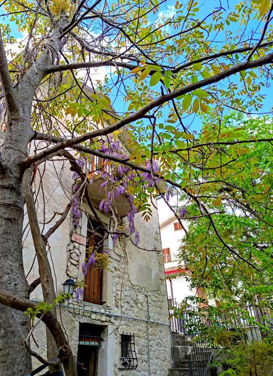 Ai Limiti • 67 • StoneHouse - Bed and Breakfast Palombaro