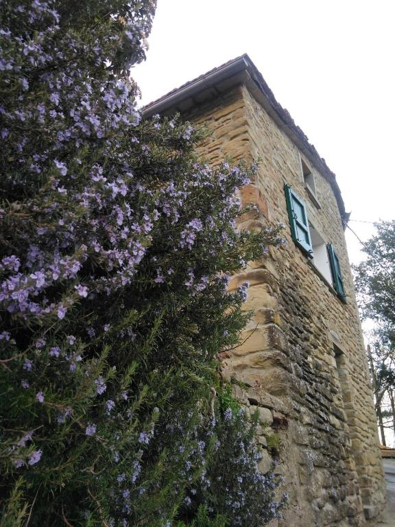 Agriturismo Il Regno del Marrone - Ferienwohnung Castel del Rio
