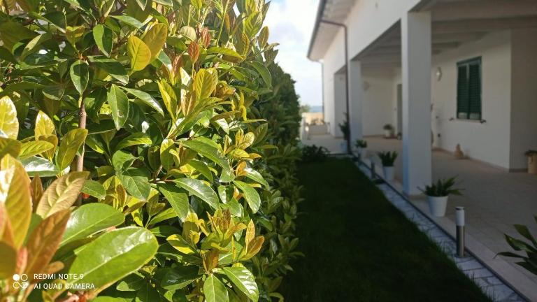 Matera nel verde - B&B Matera