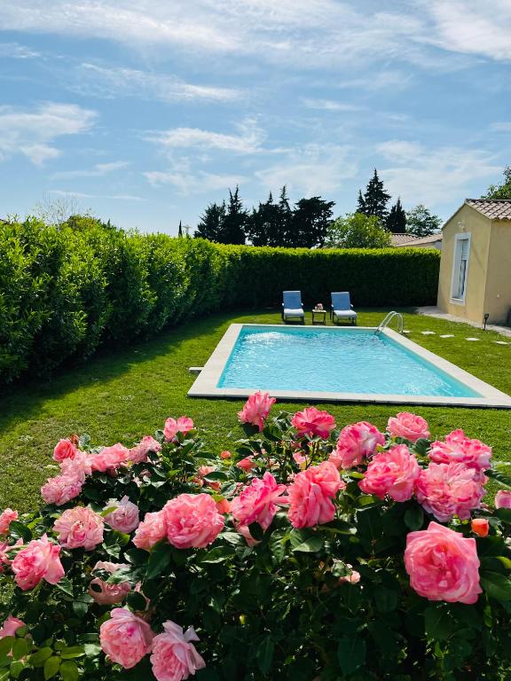 Un coin tropical en Provence ! - Bed and Breakfast L'Isle-sur-la-Sorgue