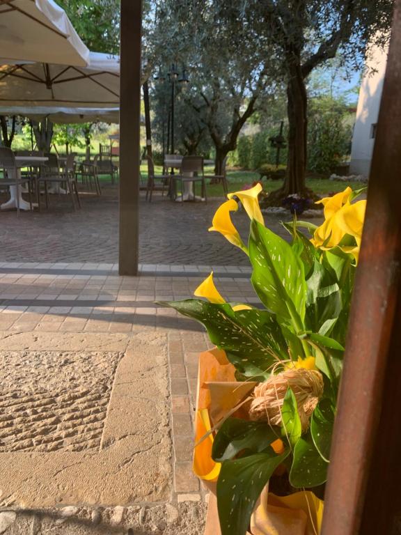 Foresteria Rustico da Bena snc - Ferienwohnung Polpenazze del Garda