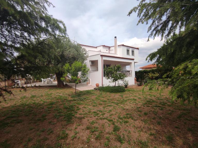 Rural Modern House - Chambres d'hôtes Ágios Mámas