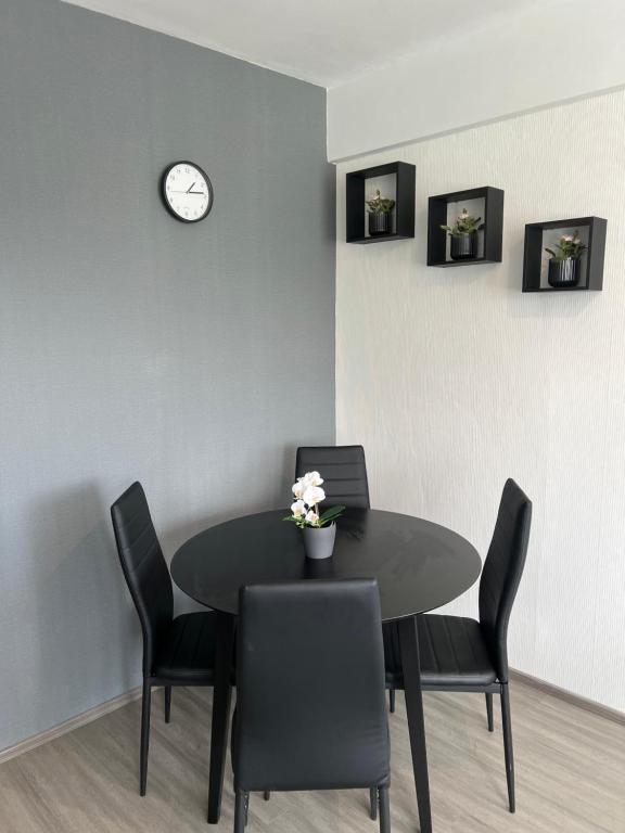 Lappland Kemiapartments CITY III near snowcastle, 2 rooms , kitchen , glaz balcony, FREE park with heat plug - Ferienwohnung Kemi