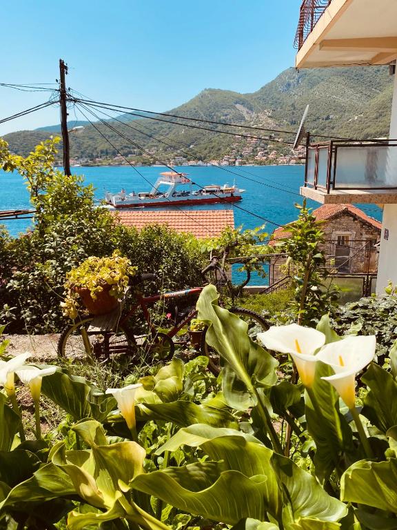 Apartments Vučinović - Bed and Breakfast Tivat