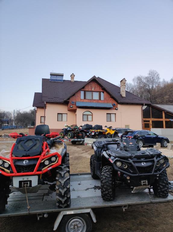Casa Alesi - B&B Dragoslavele