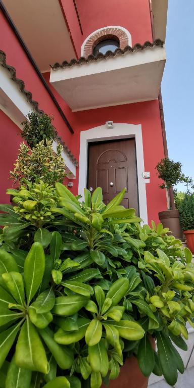 B&B Casa Barone - B&B Roccadaspide