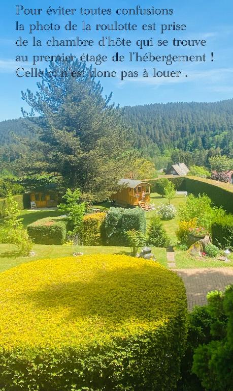 L’hippocampe - Bed and Breakfast Wangenbourg