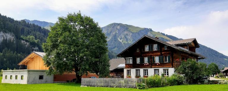 Bühlerhof - Ferienwohnung Lenk im Simmental