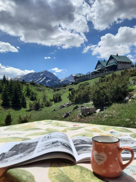 Apartmani 1490 - B&B Zabljak