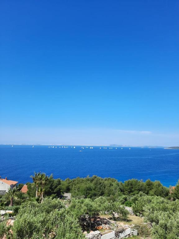 Apartment in Murter with sea view, terrace, air conditioning, W-LAN 5026-1 - B&B Murter