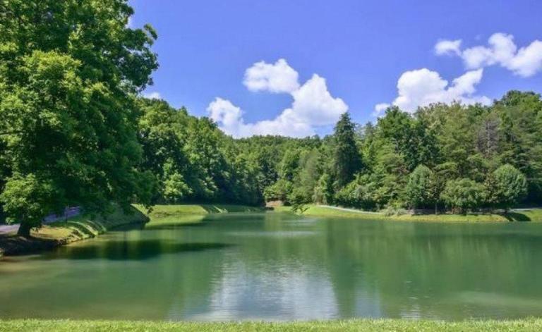 Mountain Lake Lodge, Hot Tub, Theater Room, 560 FREE tickets each paid day!!! - B&B Sevierville