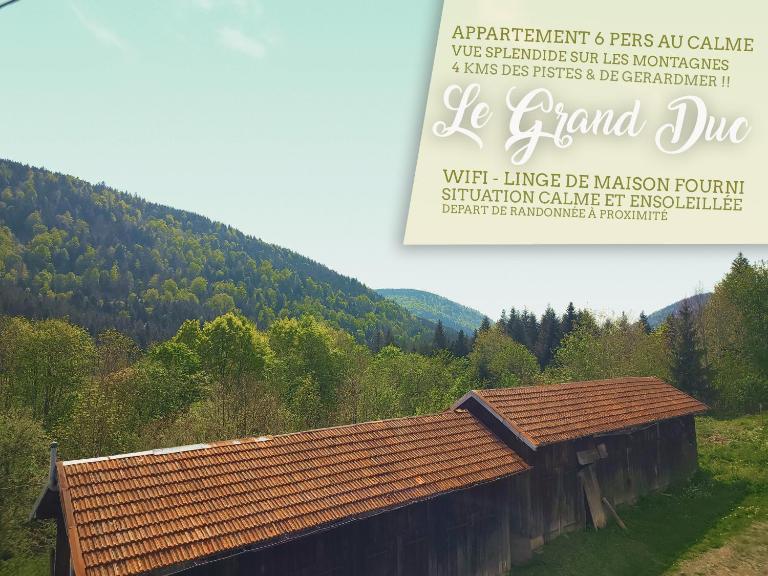 ⁂⁂ LE GRAND DUC Appartement [CLEDICIHOME] / Magnifique vue sur les montagnes / 4 KMs DE GERARDMER ! ⁂⁂ - Ferienwohnung Rochesson