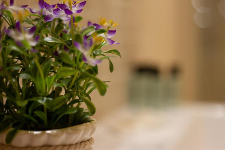Suite Corallo - Smart Holiday - B&B Mantua