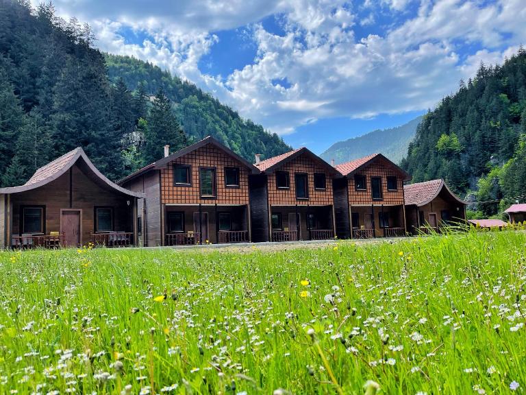 Raha Villa Bungalow - B&B Uzungöl