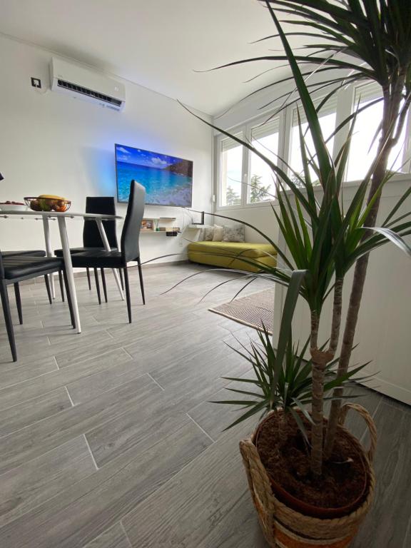 Apartment Centar Višnjik, Zadar - B&B Zadar