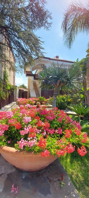 STELLA MARIS D - B&B Santa Maria