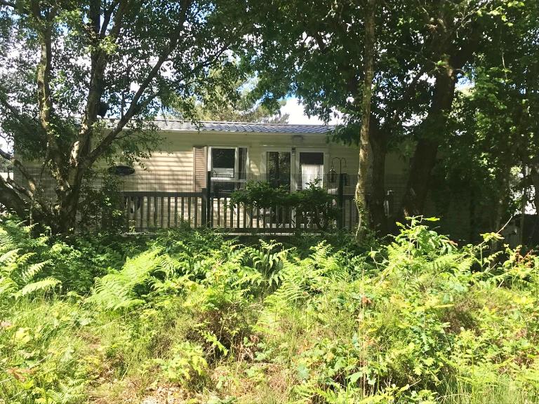 Forest View at Oakdene Forest Park - Leisure Passes Included! - Bed and Breakfast Ringwood