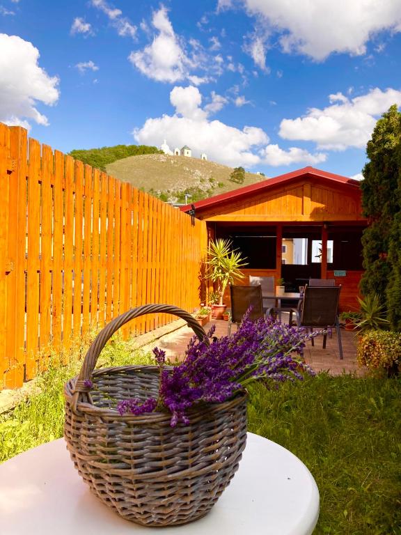 Penzion Moravia - free parking in the city center - Bed and Breakfast Mikulov