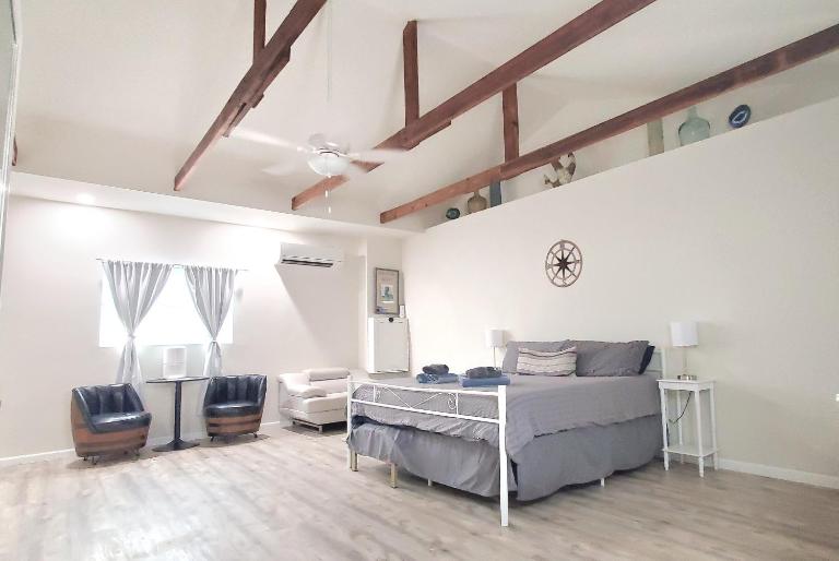 King Size Sassy Studio - B&B St. Petersburg