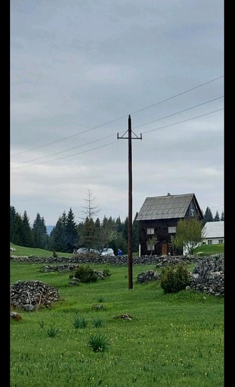 Village house Popovic - B&B Zabljak