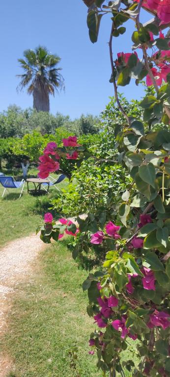Sweet Old House - B&B Marsala