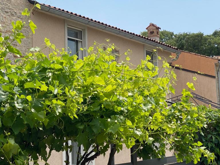 Farfalle di Valle - B&B Bale