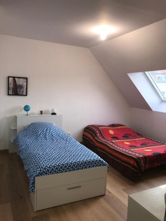 Chambre , 1 lit double et 1 lit simple - Bed and Breakfast Le Mans