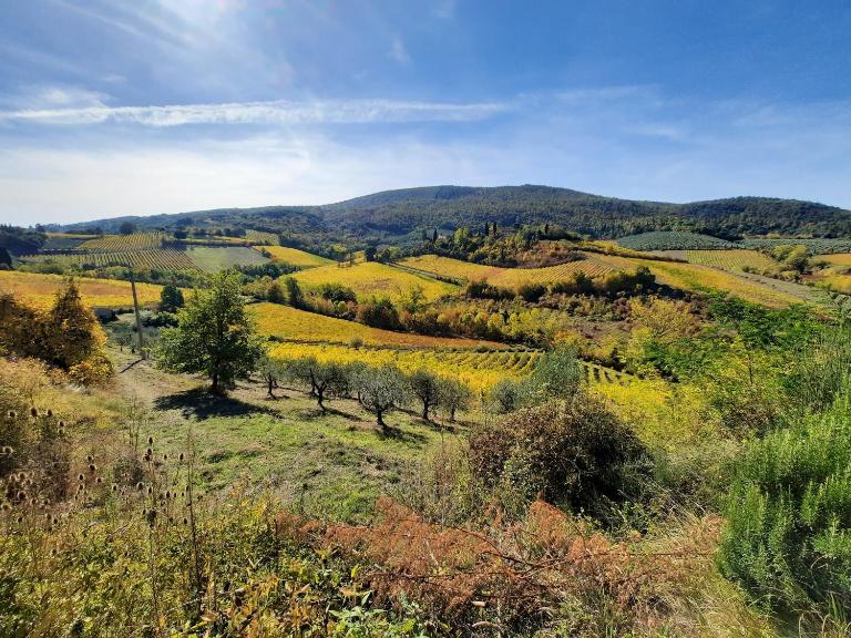 Villa Del Sole - B&B San Gimignano