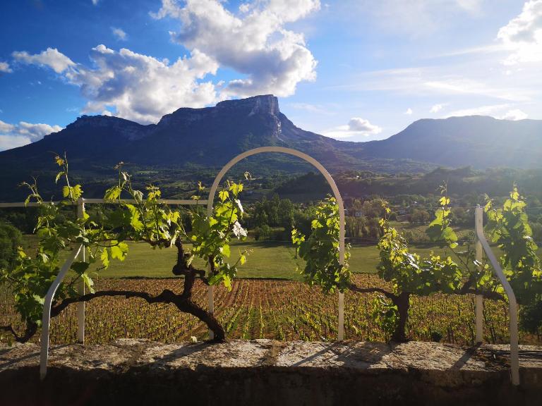Domaine des Granges Longes - B&B Les Marches