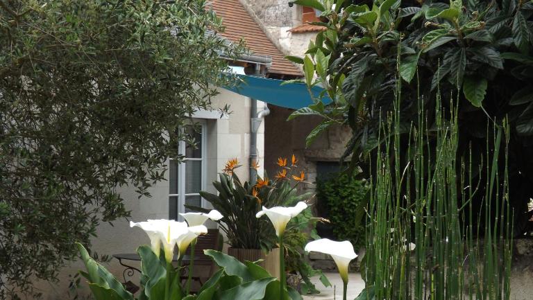 Suite Luzilloise - Ferienwohnung Luzillé