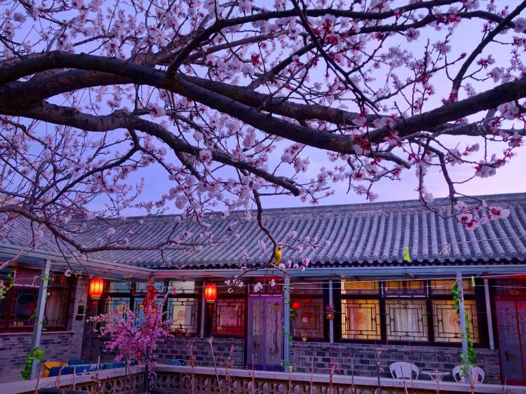 Beijing Badaling Great Wall Caos Courtyard guesthousel 1Private english tour guide 2Pick up&Drof off &landmark visiting serivice3Very near to Badaling Great Wall4Offer free beijing travel guide5Traditonal Chinese courtyard - Bed and Breakfast Yanqing