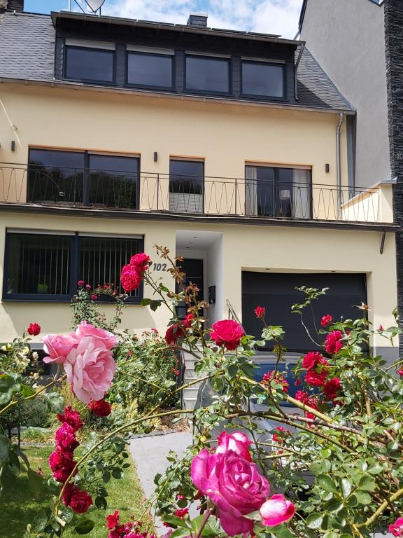 Ferienwohnung "Zum Klosterruinenblick" - Ferienwohnung Kröv