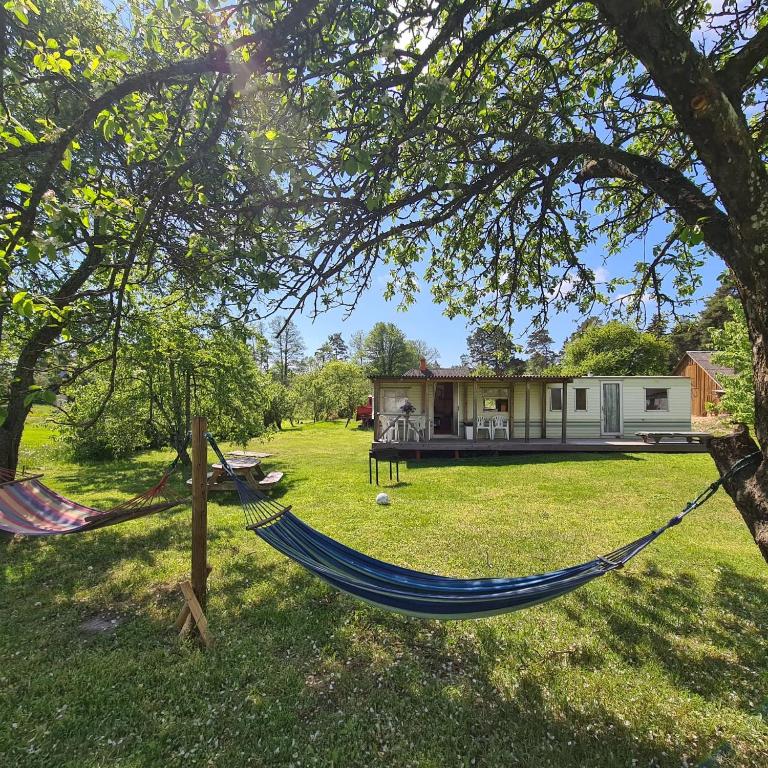 Rožu 20 - B&B Mērsrags