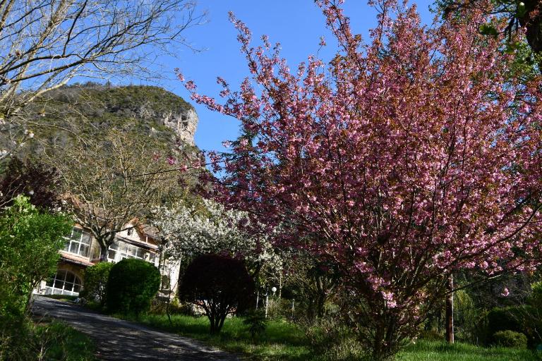 Gîte Domaine du Théron - Ferienwohnung Mostuéjouls